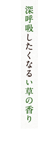 深呼吸したくなるい草の香り